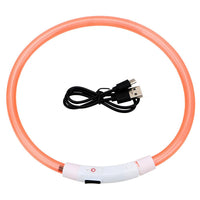 USB Rechargeable LED Safety Collar — in use
