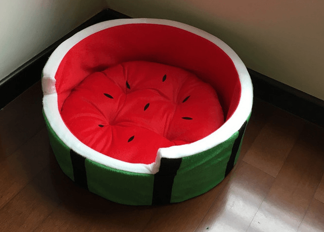 Plush watermelon bolster pet bed for dogs and cats