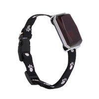Smart GPS Pet Tracker with Geo-Fence Alerts — in use