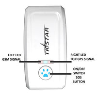 GPS Pet Tracker with Geo-Fence — in use