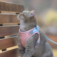 Escape-Proof Cat Harness Vest — in use