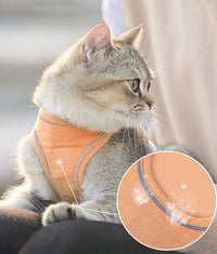 Escape-Proof Cat Harness Vest — size and scale