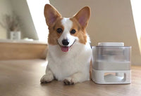 Slow Feed Treat Dispenser Toy — size and scale