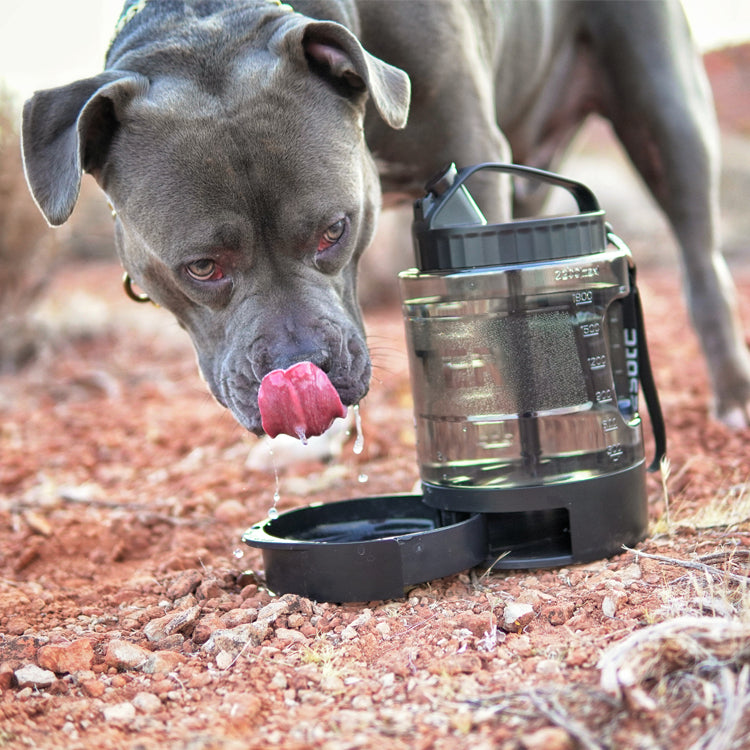77oz large dog travel water bottle with integrated bowl