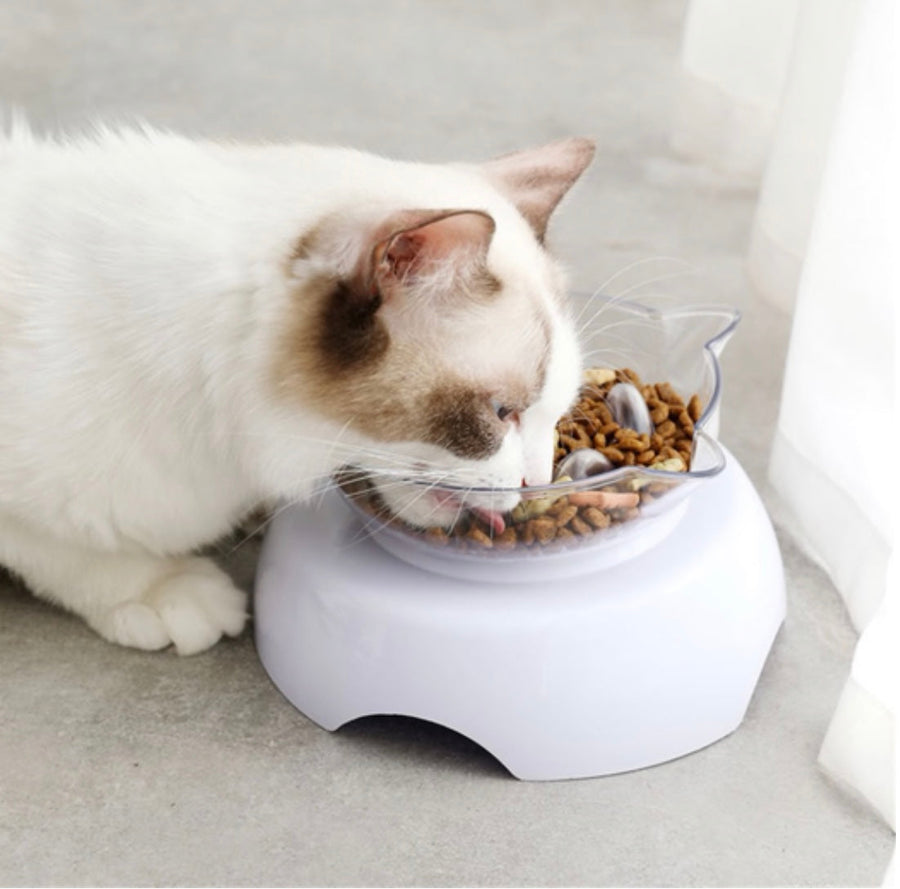 Elevated slow feeder bowl for dogs and cats