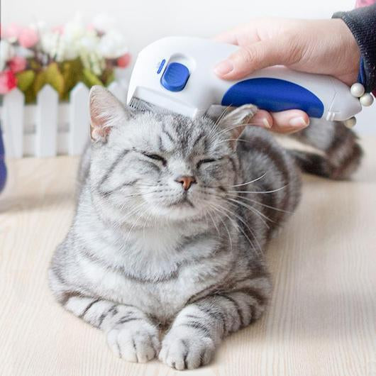 Electric flea comb for cats