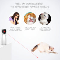 Interactive Laser Cat Toy — in use