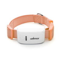 GPS Pet Tracker with Geo-Fence — additional detail view