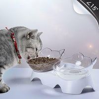 Elevated Tilted Cat Feeder Bowl — close-up detail