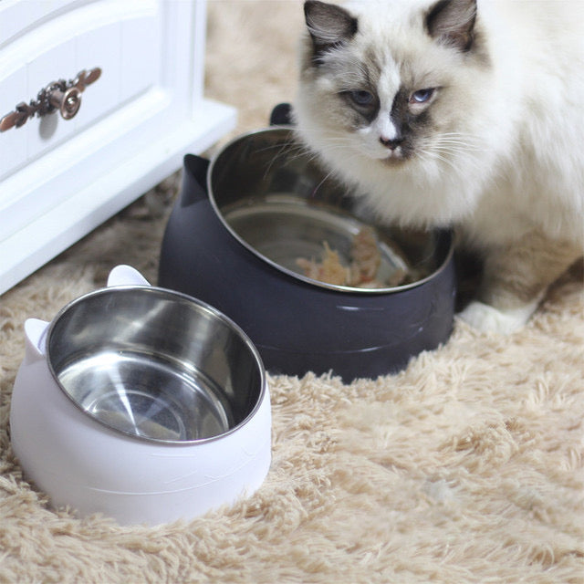 Whisker-friendly wide rim cat bowl