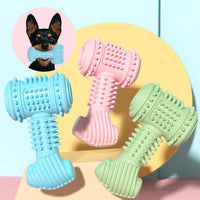 Durable TPR dog chew toy with textured teeth-cleaning design