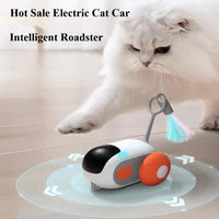 Rechargeable remote-control RC cat toy car