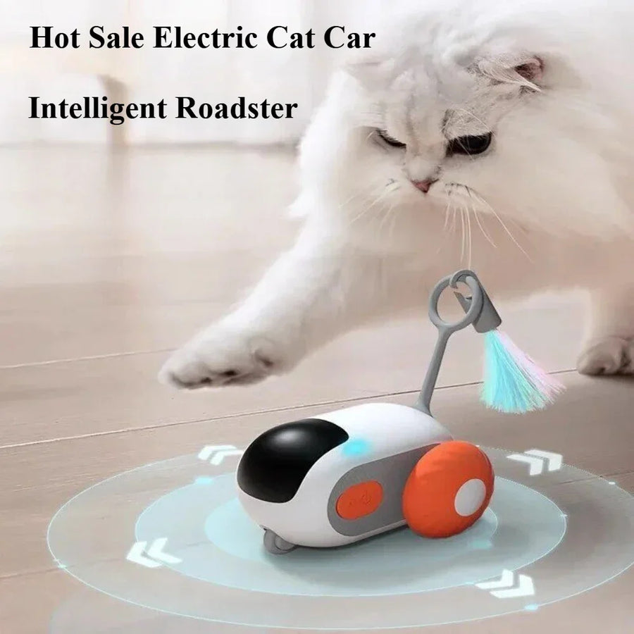 Rechargeable remote-control RC cat toy car