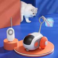 Interactive RC Cat Toy Car — in use
