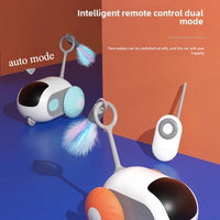 Interactive RC Cat Toy Car — size and scale