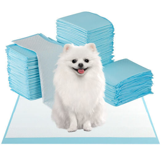 Dog and Puppy Pee Pads 24" x 17" (300 Counts) for Potty Training-Blue-4