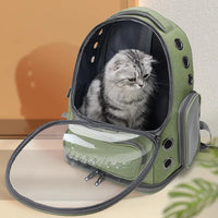 Transparent Bubble Pet Carrier Backpack — in use