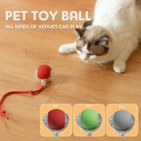 Smart Rechargeable Rolling Pet Ball — close-up detail