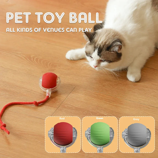 Smart Rechargeable Cat & Dog Interactive Rolling Toy-0