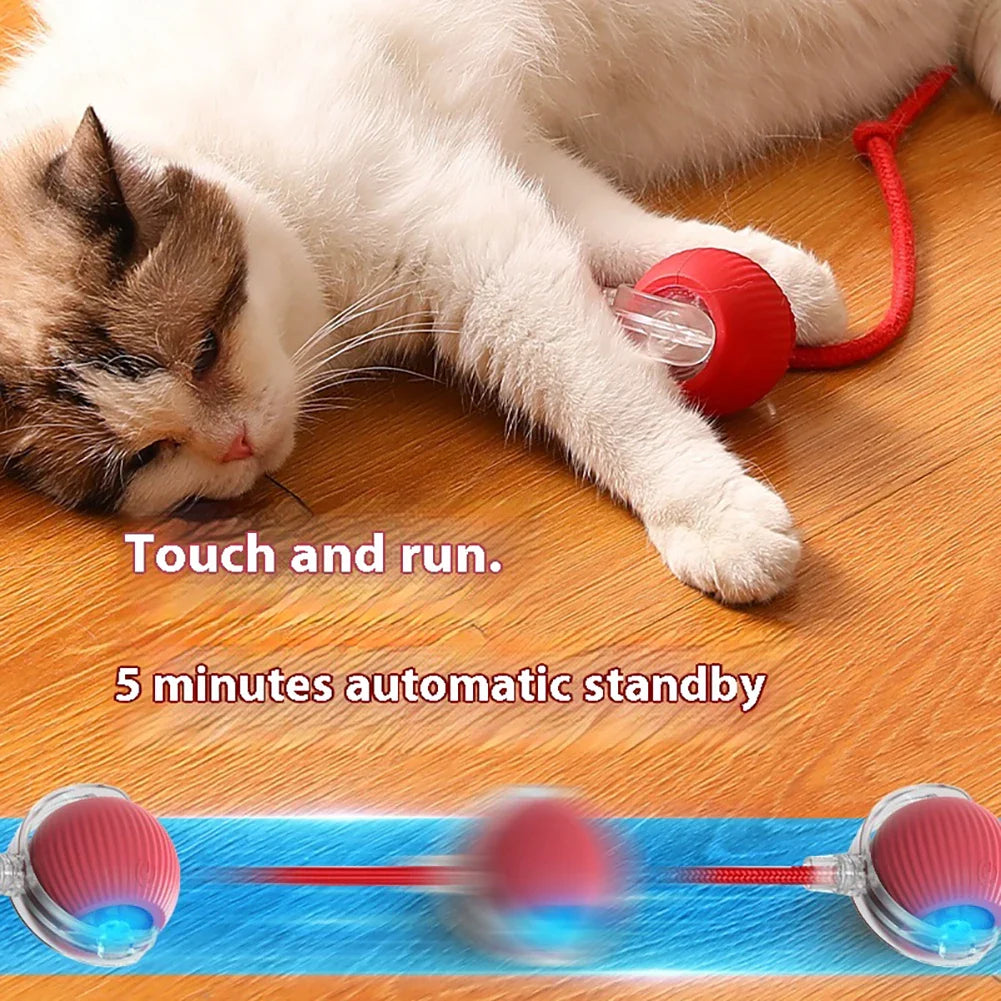 Smart Rechargeable Cat & Dog Interactive Rolling Toy-1