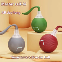 Smart Rechargeable Rolling Pet Ball — size and scale