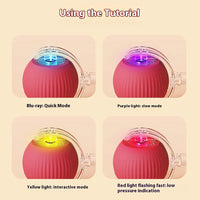 Smart Rechargeable Rolling Pet Ball — packaging and accessories