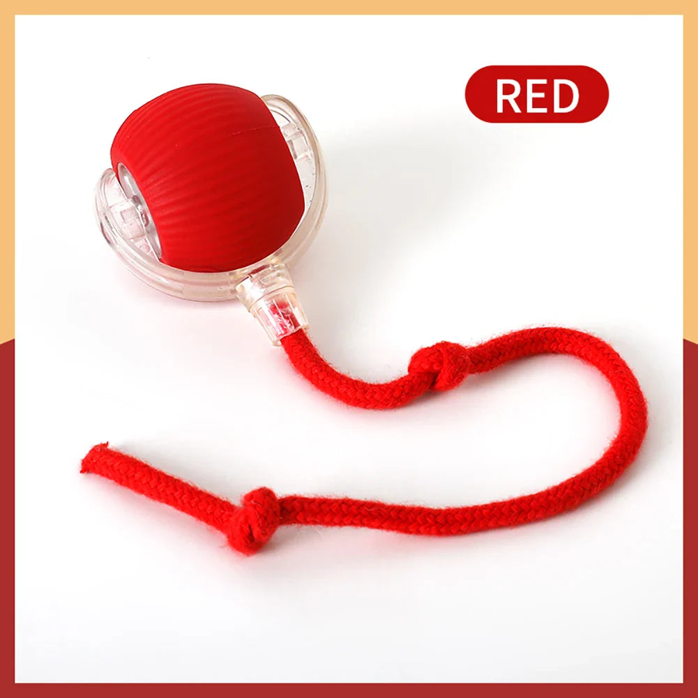 Smart Rechargeable Cat & Dog Interactive Rolling Toy-6