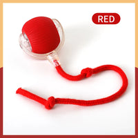 Smart Rechargeable Rolling Pet Ball — alternate angle