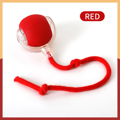 Smart Rechargeable Cat & Dog Interactive Rolling Toy-6