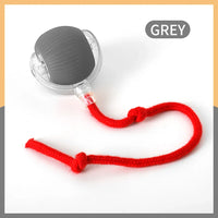 Smart Rechargeable Cat & Dog Interactive Rolling Toy-9