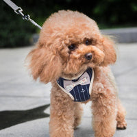 Breathable Mesh Pet Leash — packaging and accessories