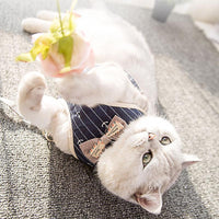 Breathable Mesh Pet Leash — size and scale