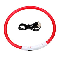 USB Rechargeable LED Safety Collar — close-up detail