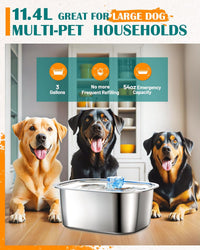 3-Gallon Stainless Steel Dog Water Fountain — close-up detail