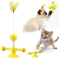 Catnip Spin & Scratch Toy — close-up detail