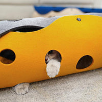 Cheese Cat Adventure Tunnel — in use