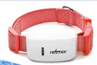 GPS Pet Tracker with Geo-Fence — close-up detail