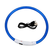USB Rechargeable LED Safety Collar — packaging and accessories
