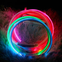 USB Rechargeable LED Safety Collar — side angle