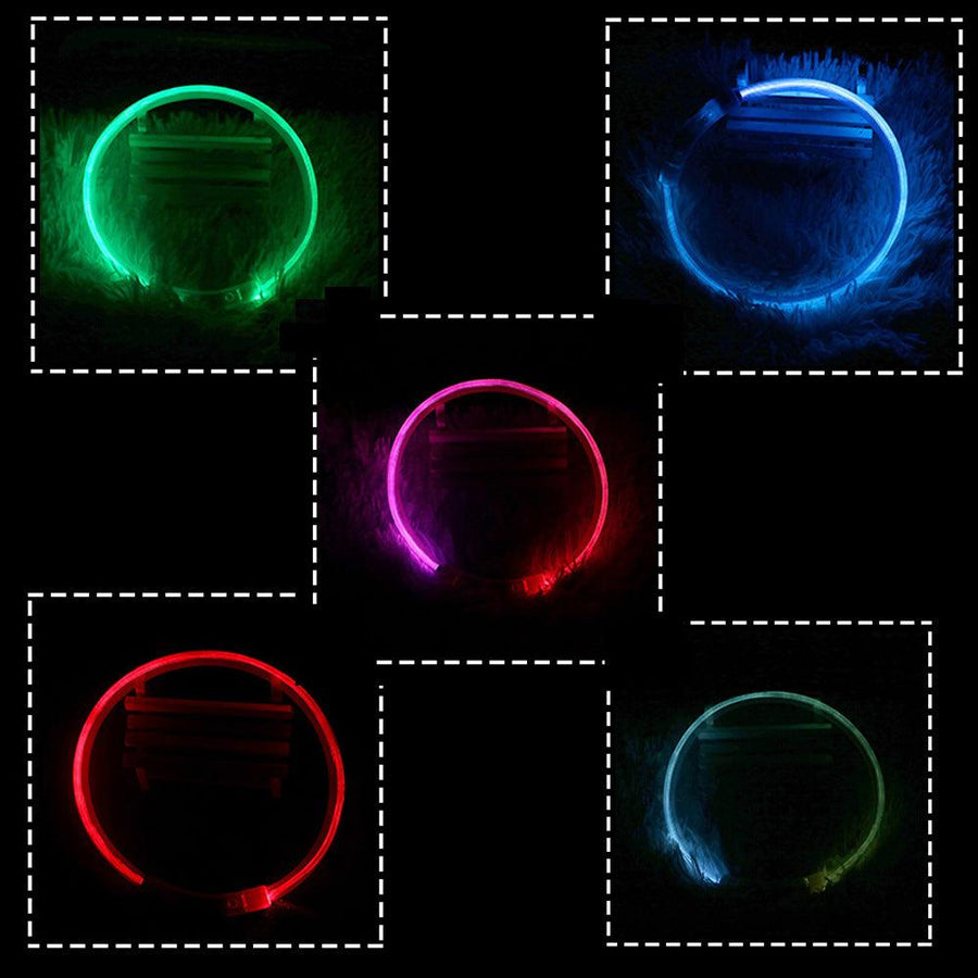 USB rechargeable LED safety collar for dogs and cats