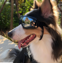UV Protection Dog Goggles — in use